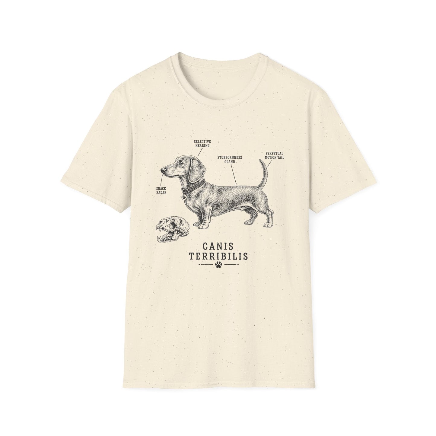 Anatomy Of A Dachshund Tee