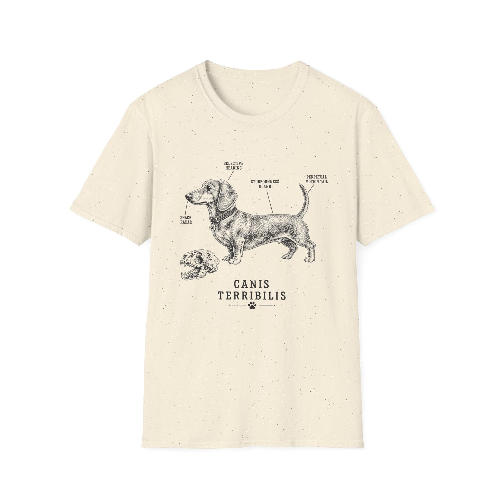Anatomy Of A Dachshund Tee