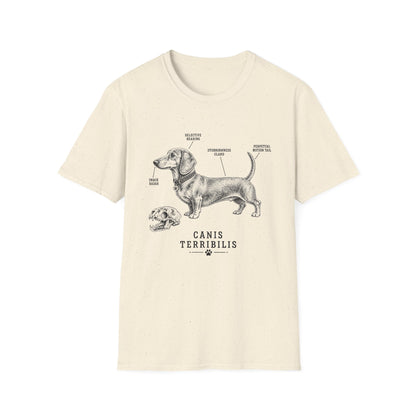 Anatomy Of A Dachshund Tee