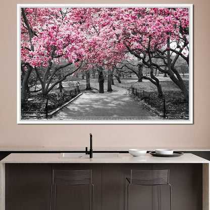 Pink Blossoms in Black and White Canvas Wall Art