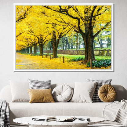 Yellow Ginkgo Trees Canvas Wall Art
