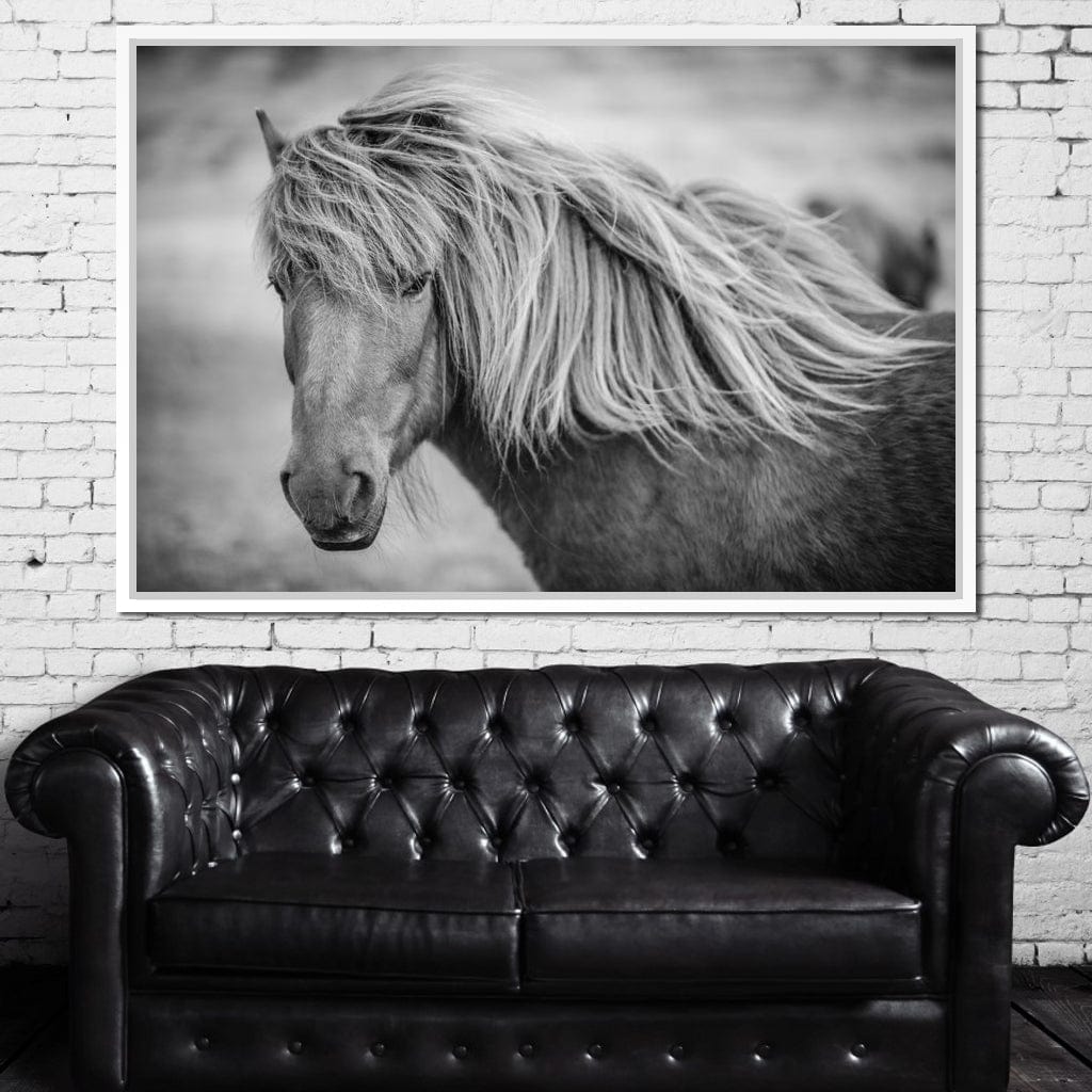 Icelandic Horse in Black & White Canvas Wall Art