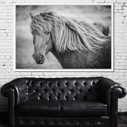 Icelandic Horse in Black & White Canvas Wall Art