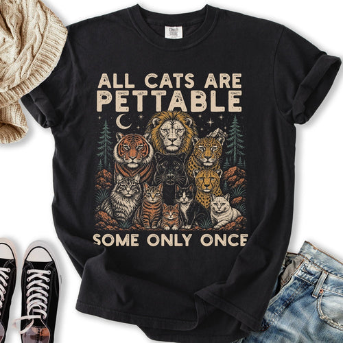 All Cats Are Pettable Relaxed Tee