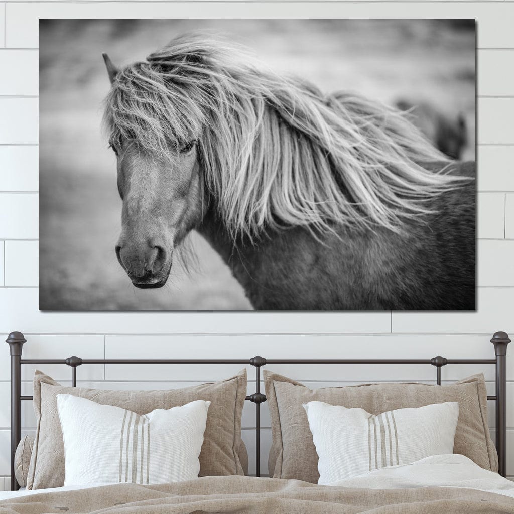 Icelandic Horse in Black & White Canvas Wall Art