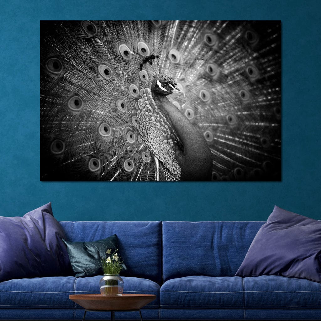 Black and White Peacock Canvas Wall Art