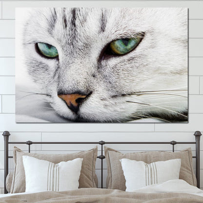 Cat Relaxing Canvas Wall Art