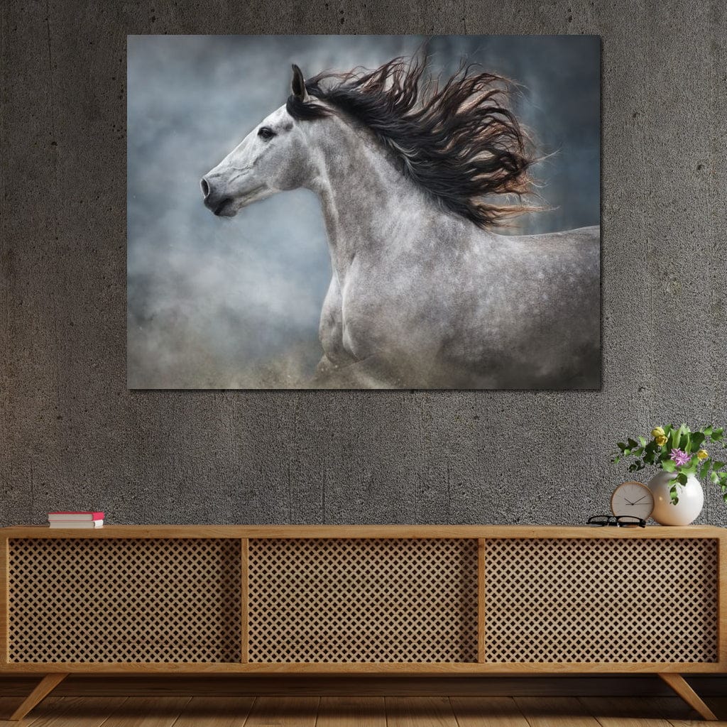 Andalusian Horse Canvas Wall Art