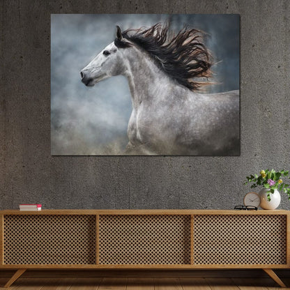 Andalusian Horse Canvas Wall Art