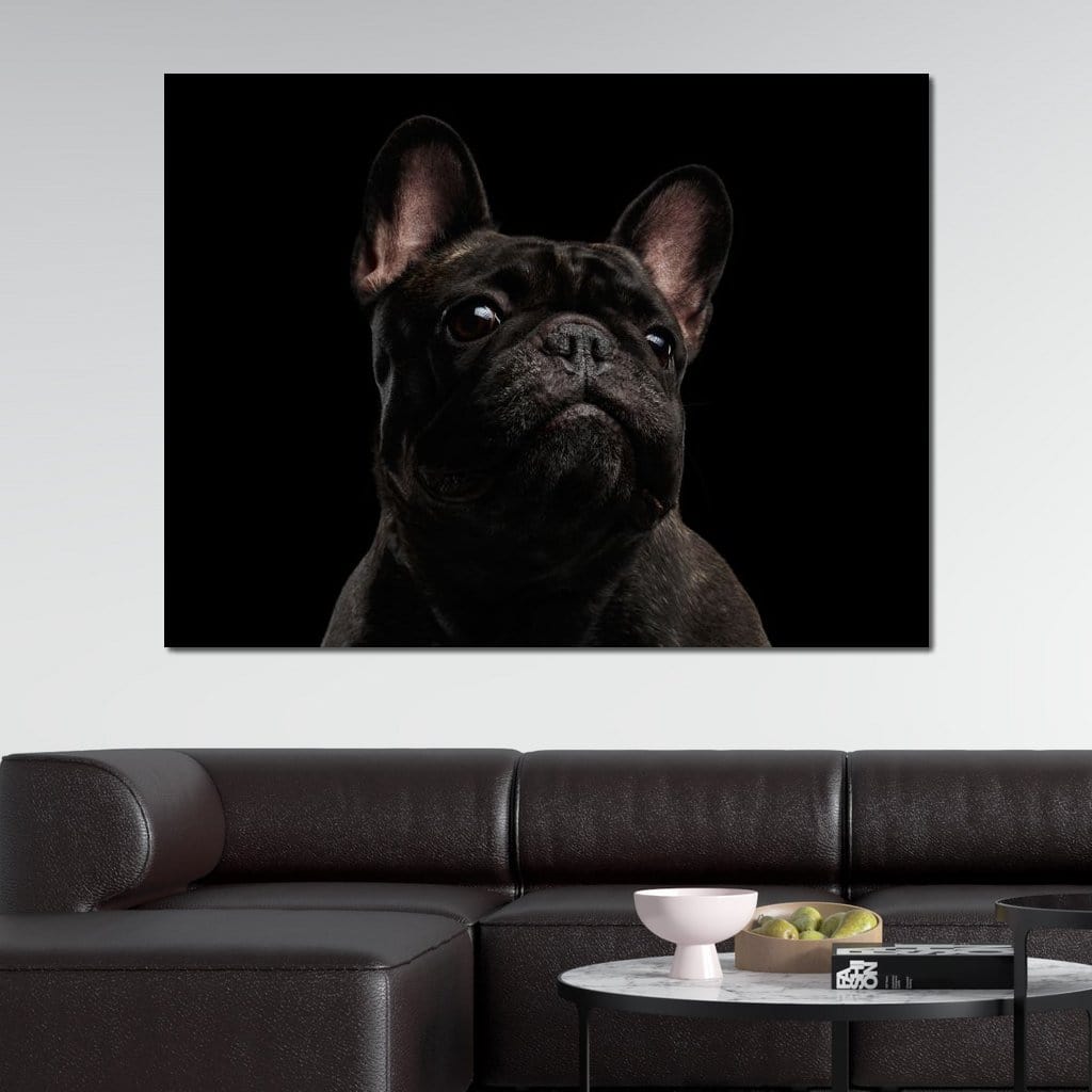 Black French Bulldog Canvas Wall Art
