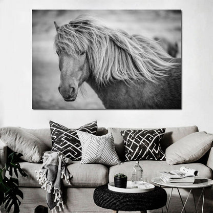 Icelandic Horse in Black & White Canvas Wall Art