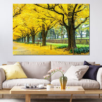 Yellow Ginkgo Trees Canvas Wall Art