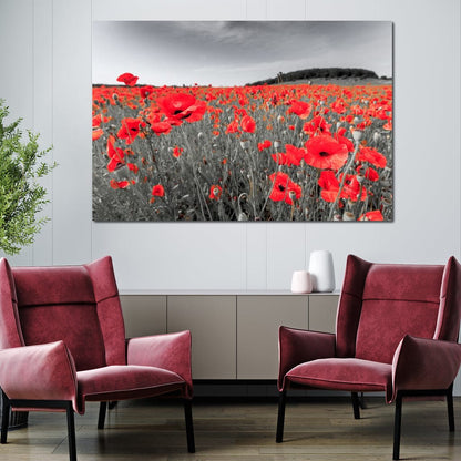 Flanders Fields Canvas Wall Art