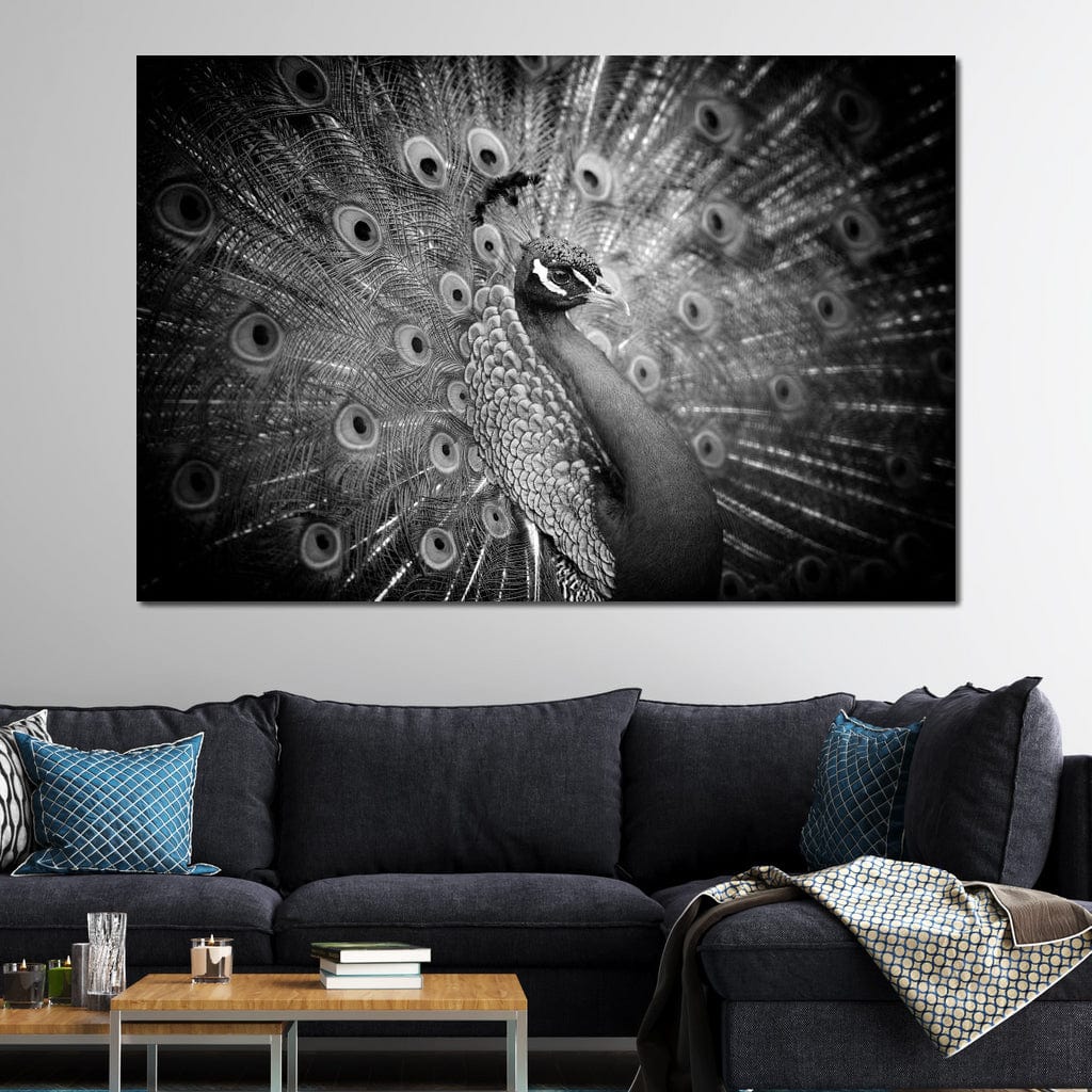 Black and White Peacock Canvas Wall Art