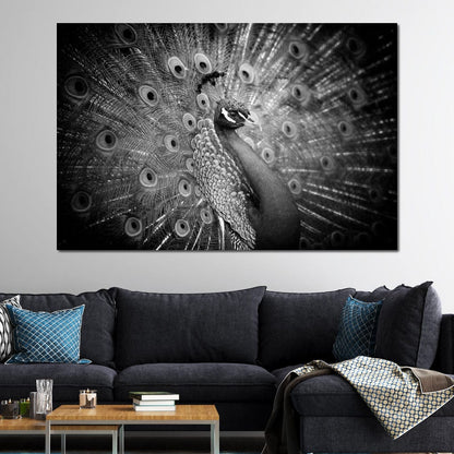 Black and White Peacock Canvas Wall Art