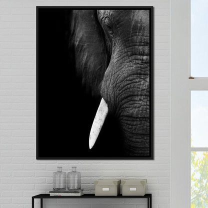 Black and White Elephant Close up Canvas Wall Art