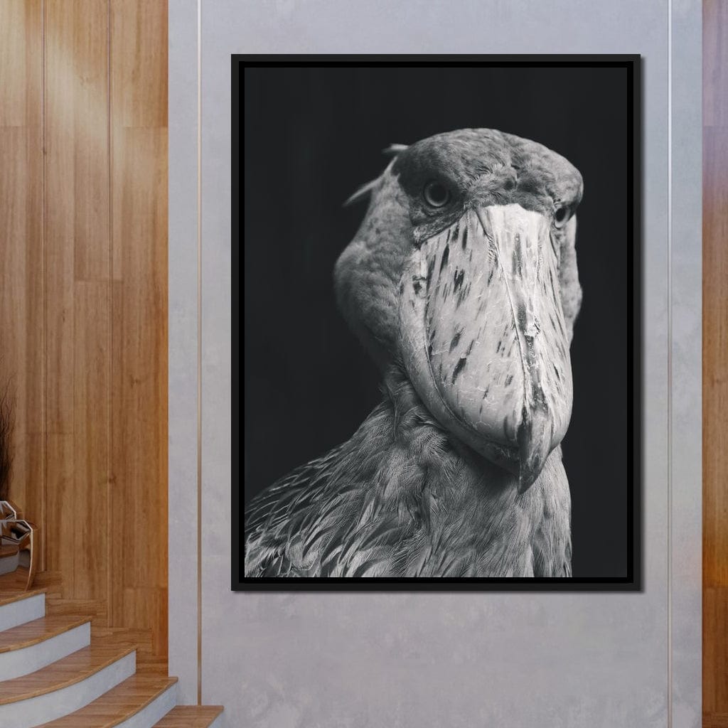 Black and White Shoebill Stork Canvas Wall Art