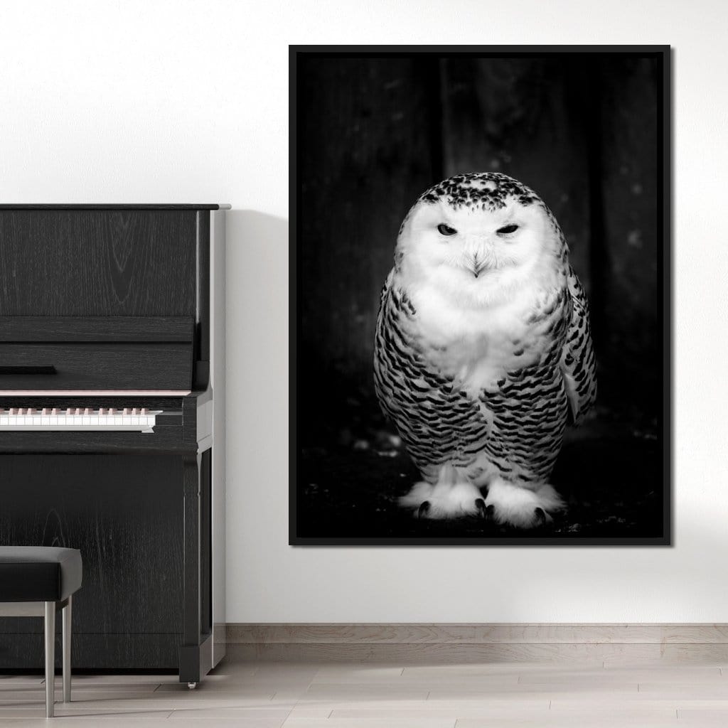 Black and White Snowy Owl Canvas Wall Art
