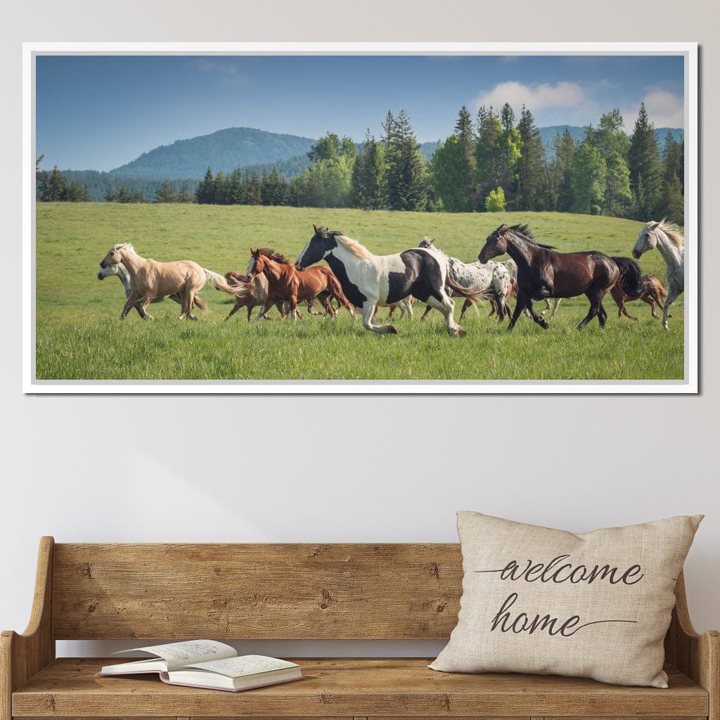 Horses of all Colors Running in a Pasture Canvas Wall Art