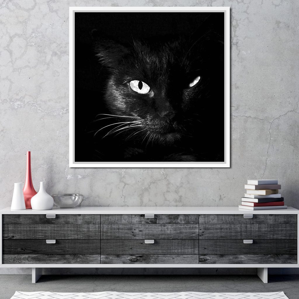 Black and White Cat Canvas Wall Art