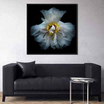 Backyard Flowers Series 4 Canvas Wall Art