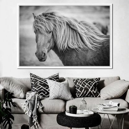 Icelandic Horse in Black & White Canvas Wall Art