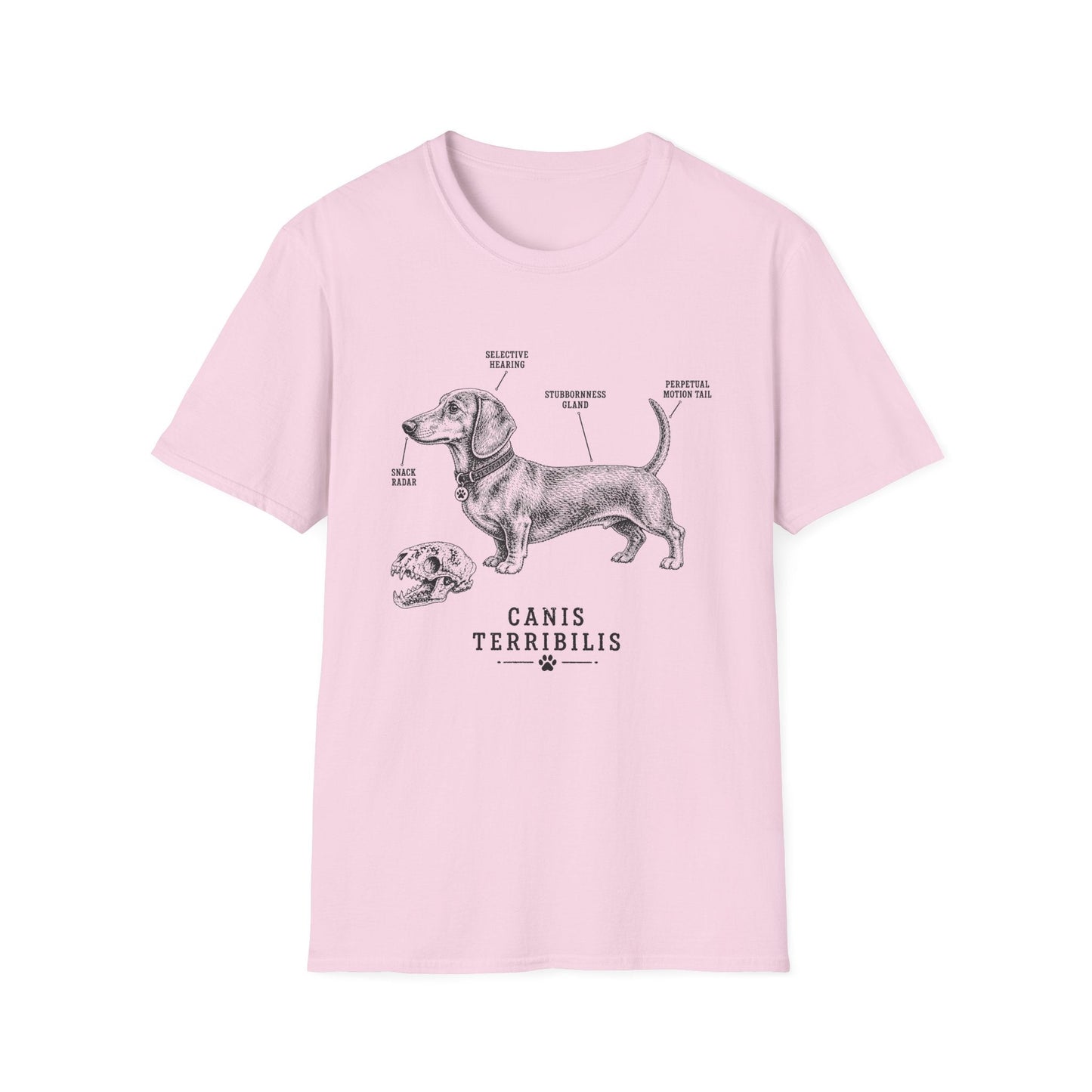 Anatomy Of A Dachshund Tee