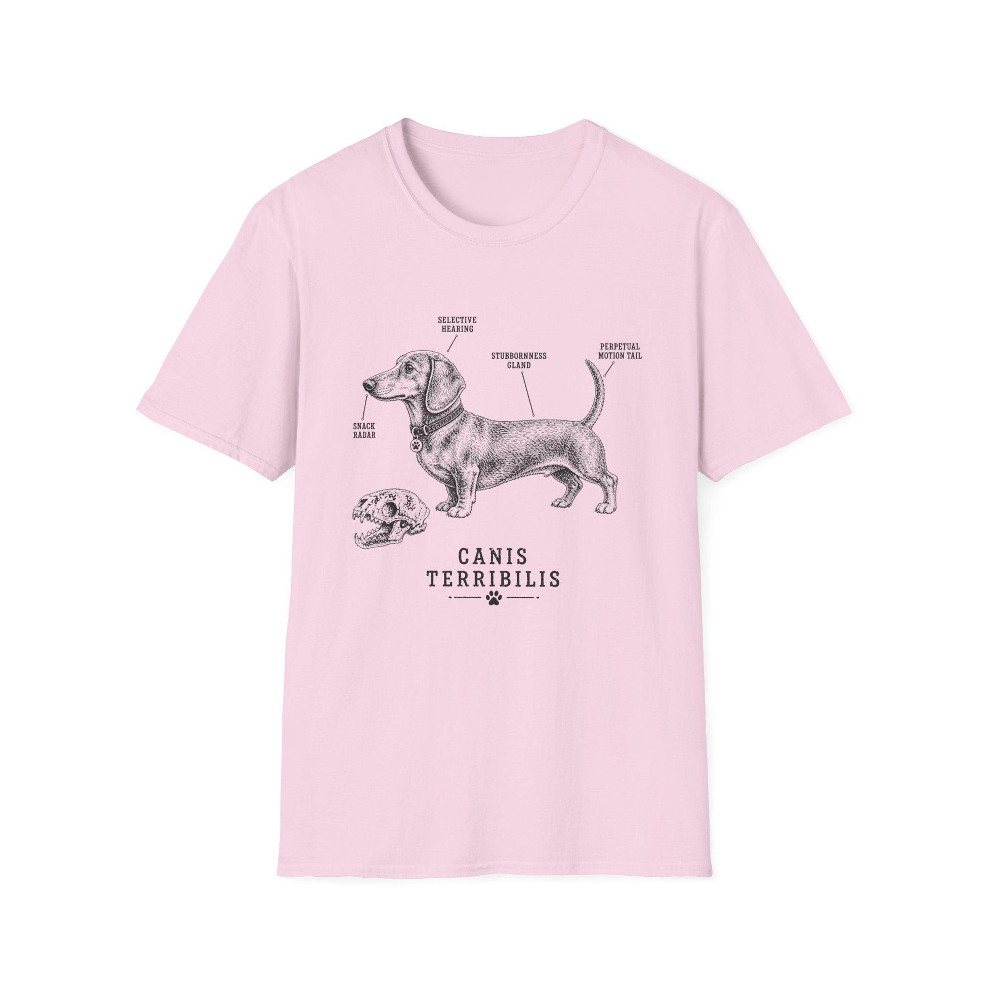 Anatomy Of A Dachshund Tee