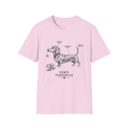 Anatomy Of A Dachshund Tee