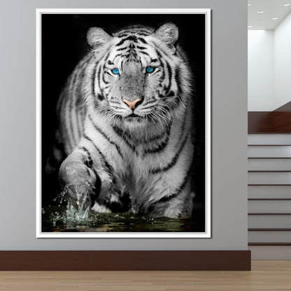 Blue Eyed Snow Tiger Canvas Wall Art