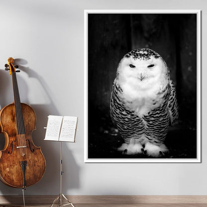 Black and White Snowy Owl Canvas Wall Art