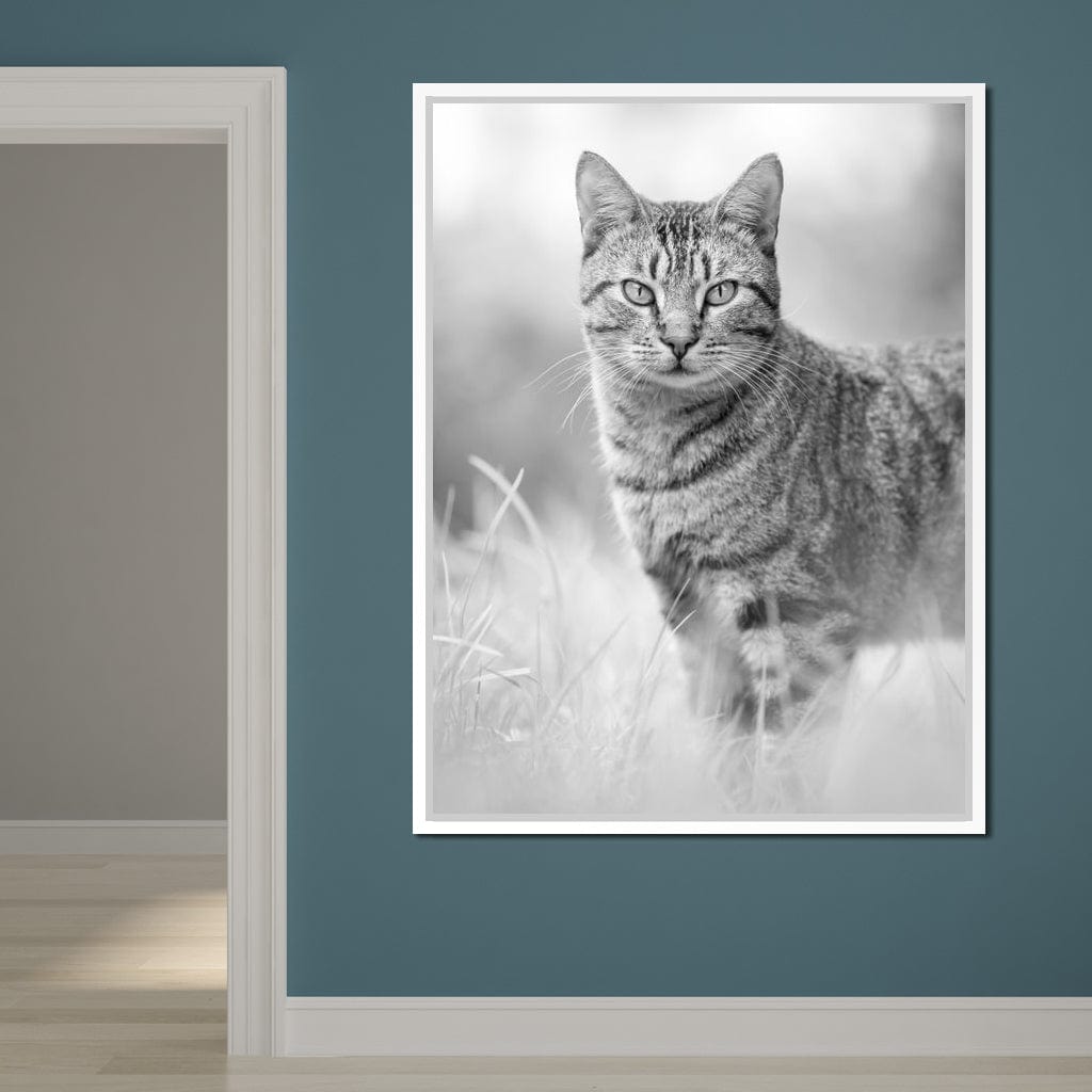 Black & White Kitty Cat Canvas Wall Art