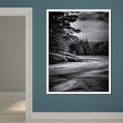 Gullwing Lake Canvas Wall Art