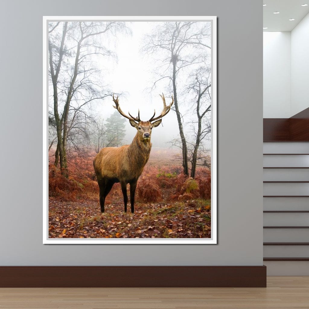 Red Deer Stag Canvas Wall Art