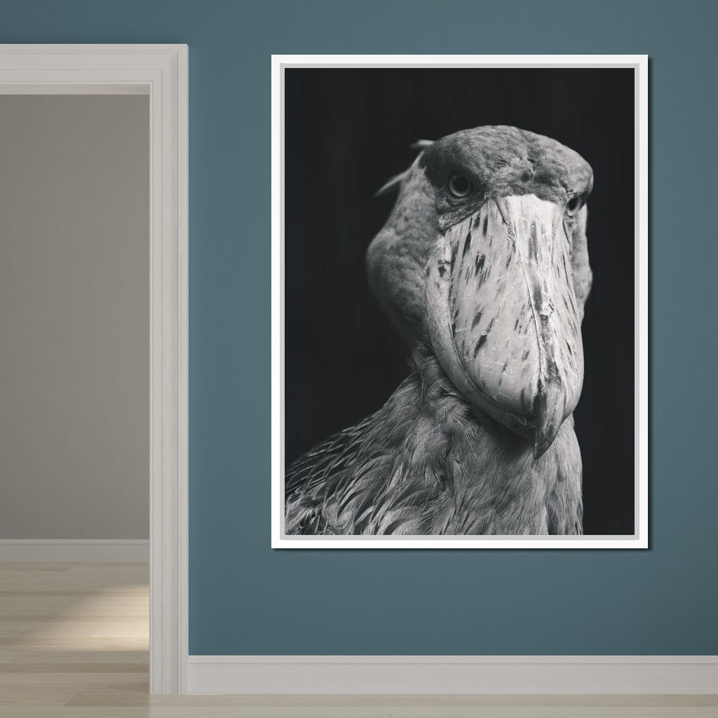 Black and White Shoebill Stork Canvas Wall Art