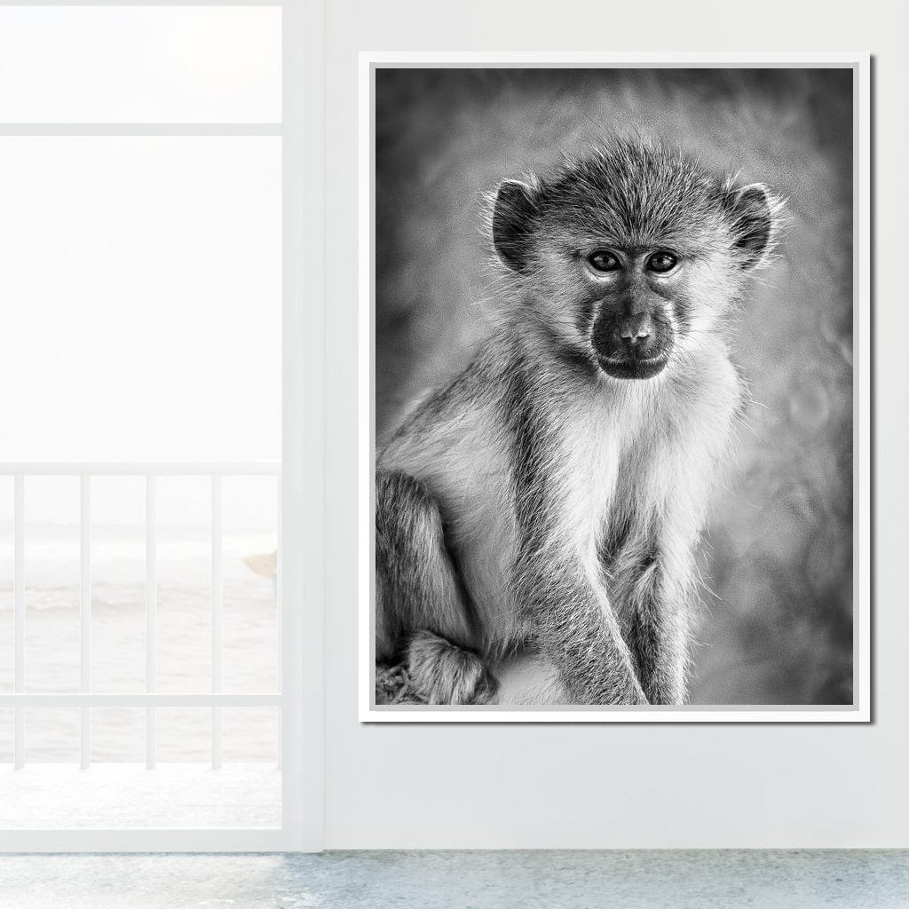 Monkey in Black & White Canvas Wall Art