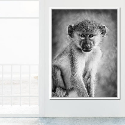 Monkey in Black & White Canvas Wall Art