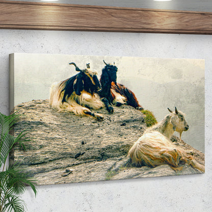 Pashmina Goats On Rocky Mountain Canvas Wall Art