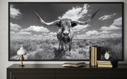 Black and White Longhorn Photography Style Framed Canvas Wall Art