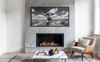 Black and White Longhorn Photography Style Framed Canvas Wall Art