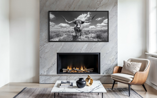 Black and White Longhorn Photography Style Framed Canvas Wall Art