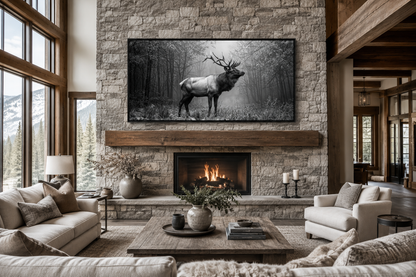 Elk Stag In The Forest Black White Photography Framed Canvas Wall Art