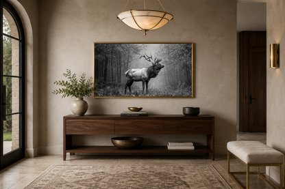 Elk Stag In The Forest Black White Photography Framed Canvas Wall Art
