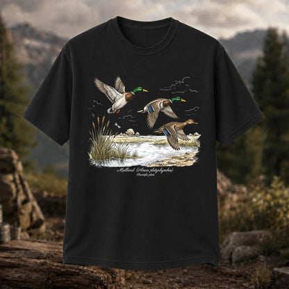 Mallard Anas Platyrhynchos T-Shirt, Vintage Duck Plate