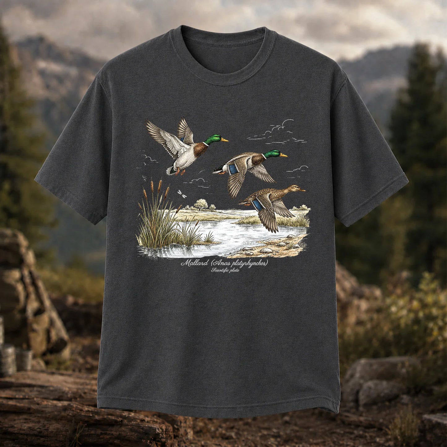 Mallard Anas Platyrhynchos T-Shirt, Vintage Duck Plate
