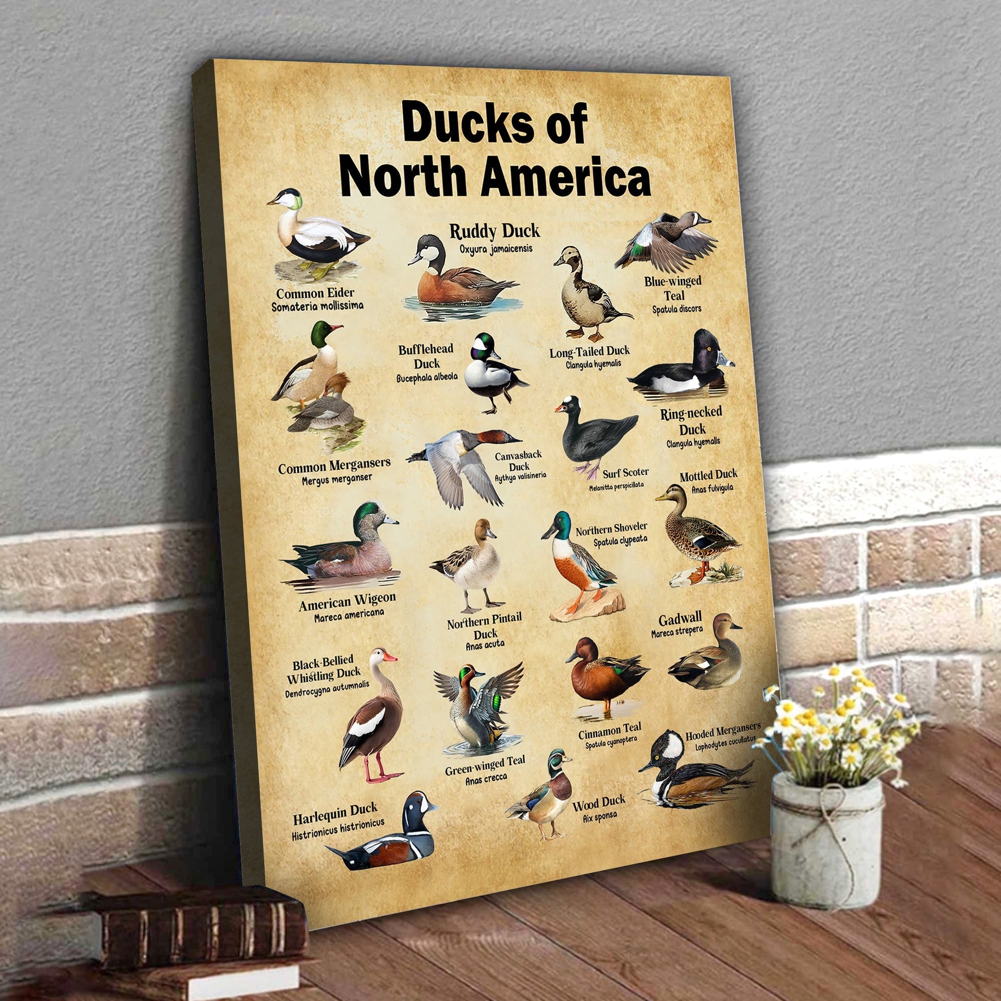 Ducks of North America Canvas – Educational Wall Art for Hunters & Nature Lovers