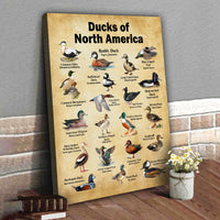 Ducks of North America Canvas – Educational Wall Art for Hunters & Nature Lovers