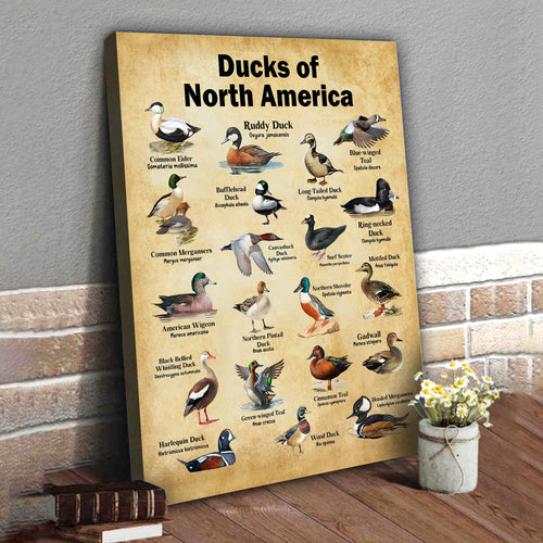 Ducks of North America Canvas – Educational Wall Art for Hunters & Nature Lovers