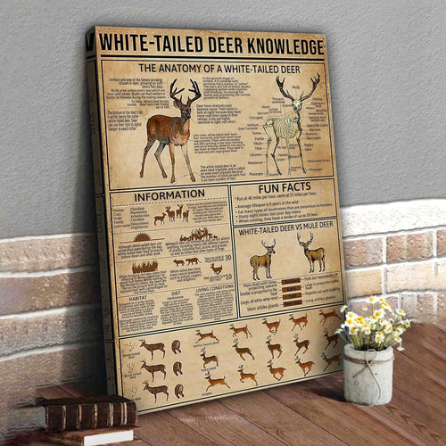White-Tailed Deer Knowledge Canvas – Hunting Wall Art for Cabin, Lodge & Wildlife Lovers