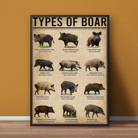Types of Boar Hunting Canvas Wall Art – Wild Hog Species Chart Print for Hunters and Outdoorsmen